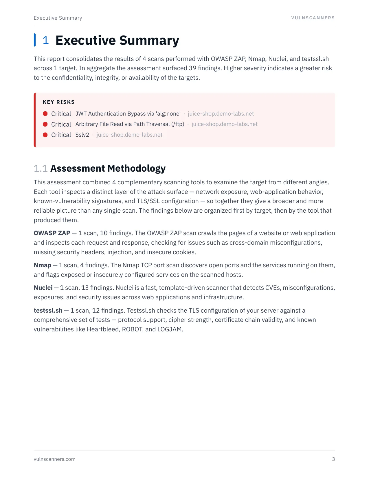 Sample combined report — Nuclei findings